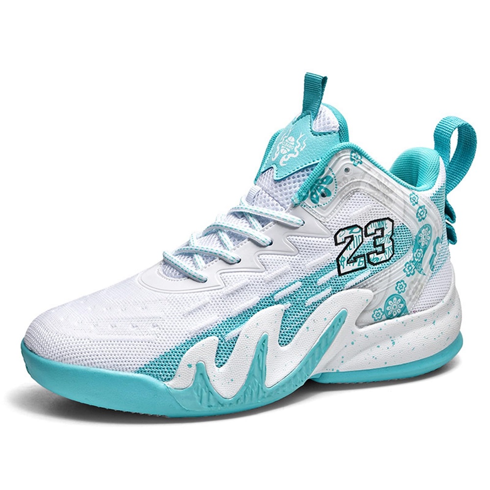 dicks basketball shoes