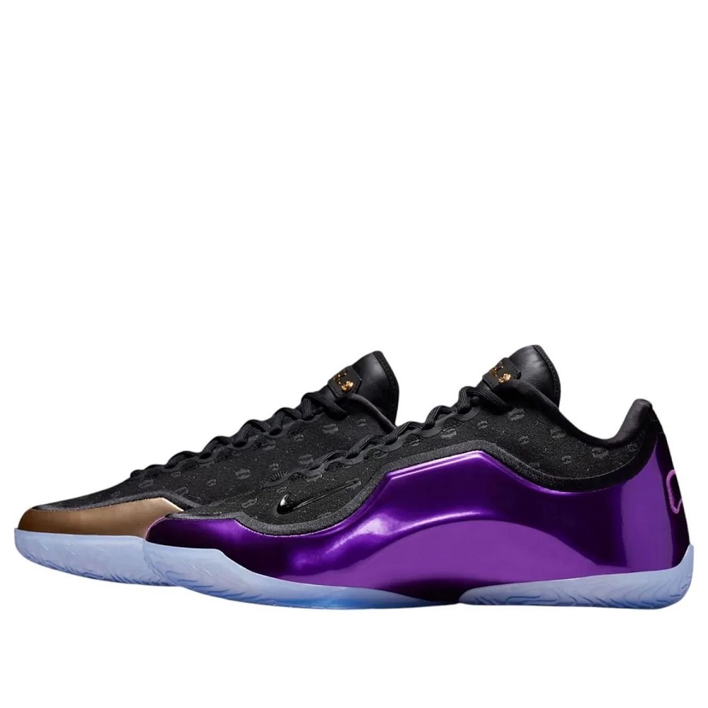 nike lebron basketball shoes